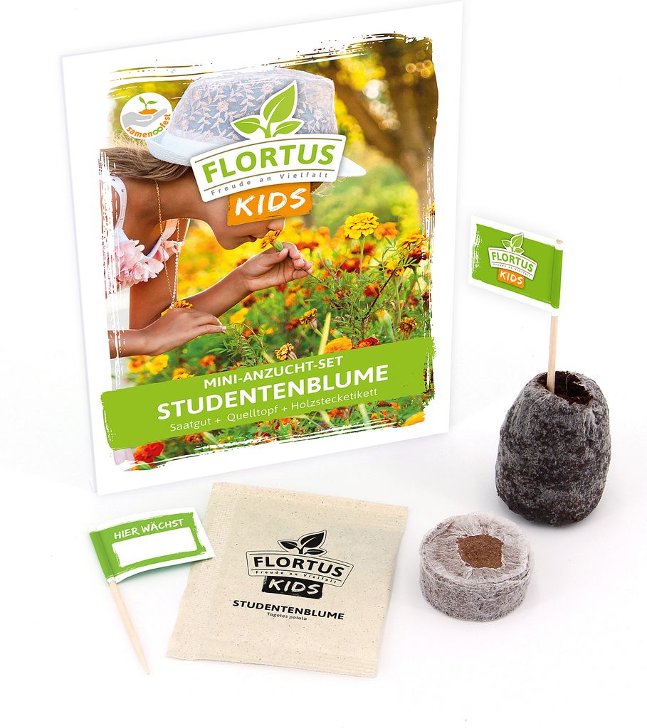 KIDS Mini Anzuchtset Studentenblume | Für die Kleinen von FLORTUS