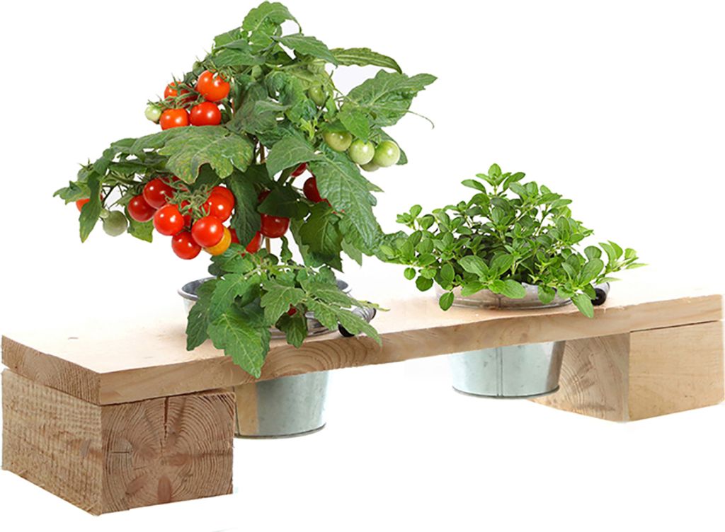 Pflanztreppen und Kräuterregale inklusive verzinkten Produktbild 