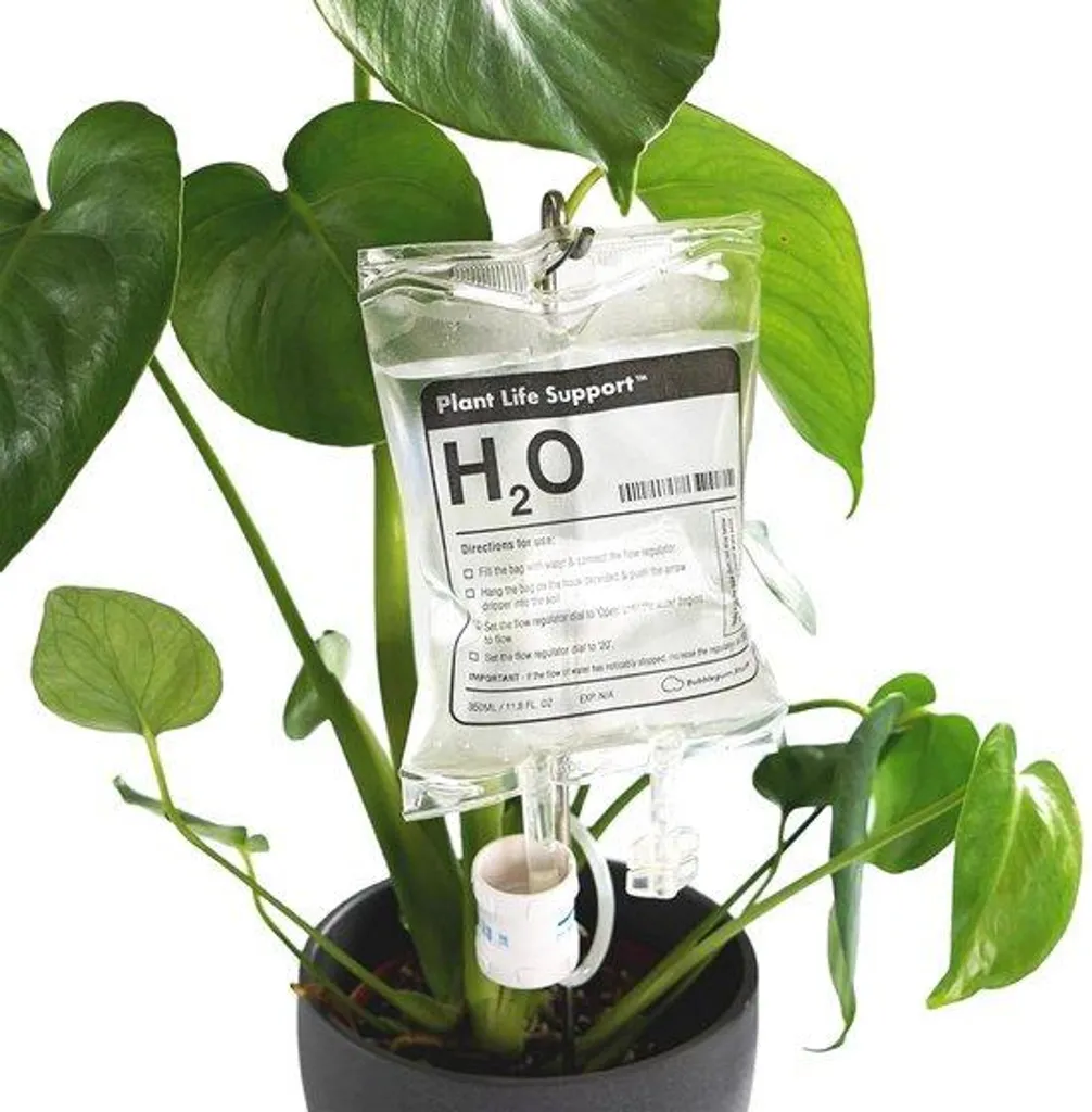 Système d'arrosage automatique goutte à goutte pour plantes d'intérieur