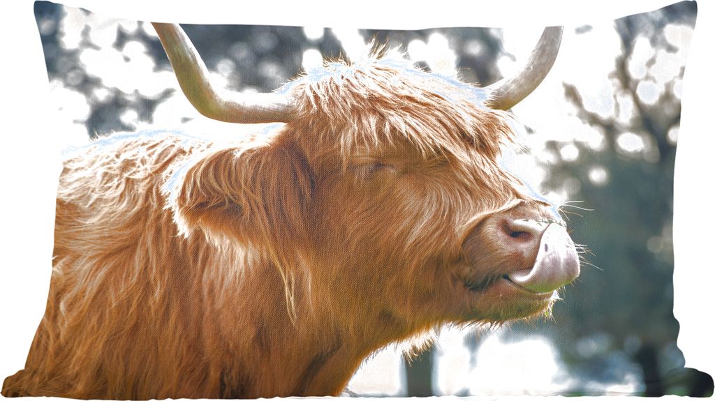 MuchoWow Zierkissen Sofakissen Wohnzimmer Dekokissen 50x30 cm Schottisches Hochlandrind - Nase - Baum - Wohnzimmerdekoration - Polster mit Photo