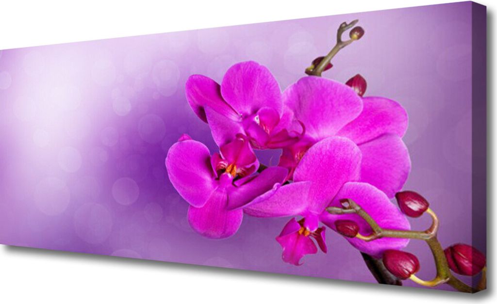 Tulup Leinwand-Bilder 125x50 Wandbild Canvas Kunstdruck Blumen Pflanzen