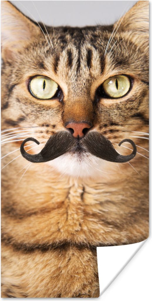 MuchoWow Poster Katze - Schnauzbart - Hipster 80x160 cm - Kinderzimmer