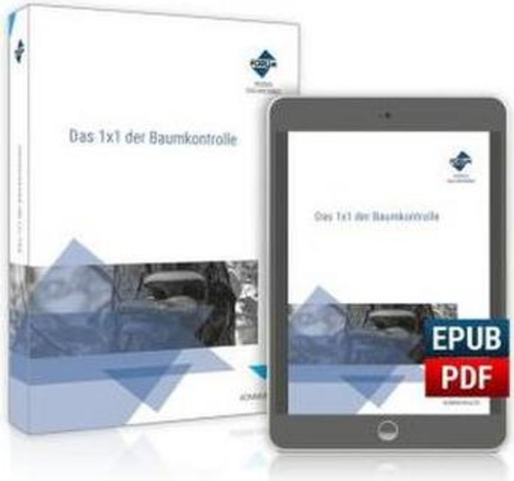 Das 1x1 der Baumkontrolle / Kombi-Ausgabe