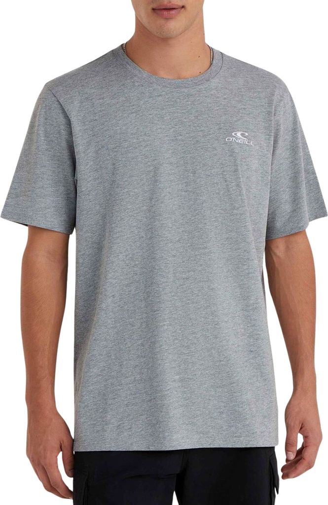 O'Neill Small Logo Shirt Herren
