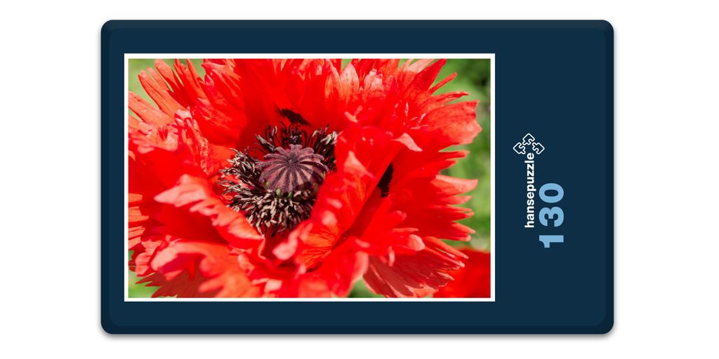 hansepuzzle 18567 - Rote Blüte Puzzle, 130 Teile, Natur, 28,7 x 20,0cm mit hochwertiger Aufbewahrung, Kartonbox und wiederverschließbarem Beutel