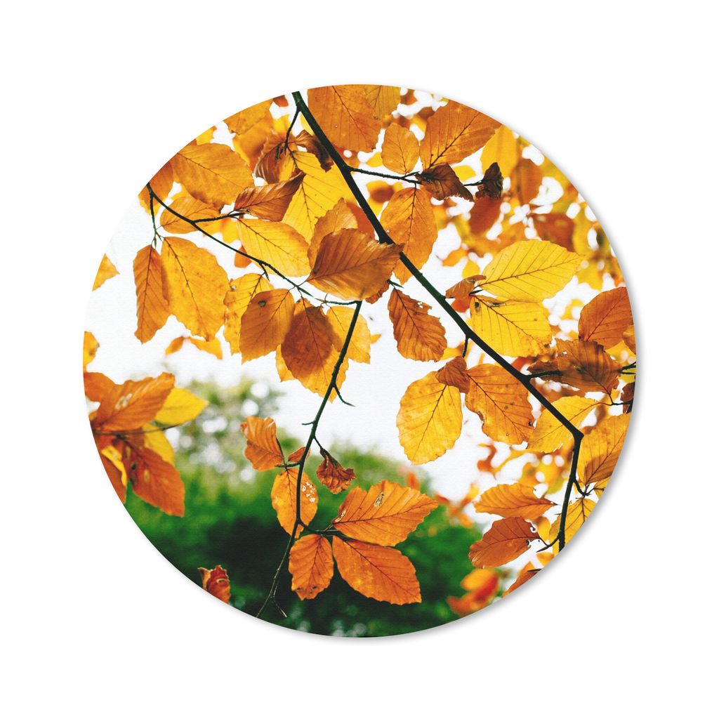 MuchoWow Mauspad Mousepad Herbstblätter - Baum - Rustikal 20x20 cm - Mousepads - Maus Mat - Pad - Mausunterlage - Schreibtischmatte