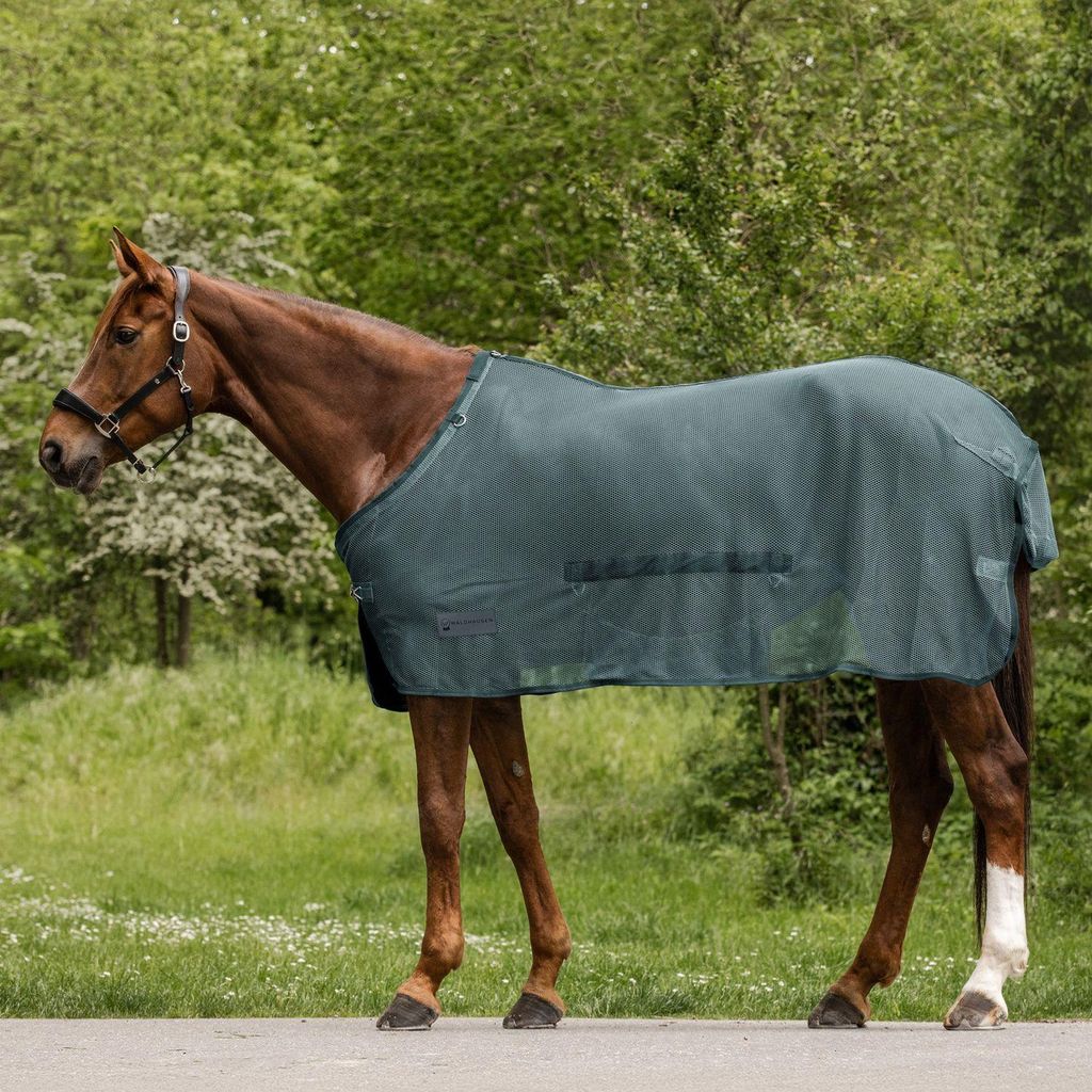 Waldhausen Fliegendecke Comfort mit Bauchlatz