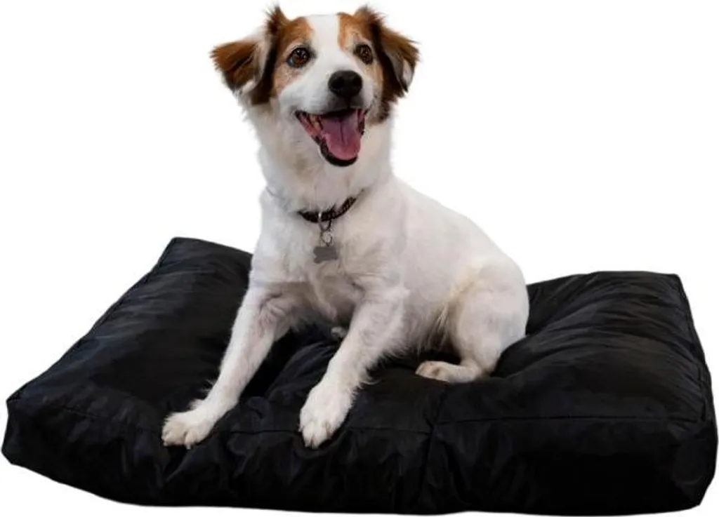Letto Cane Nero BANANAIR 75x50x10 - Minimalismo e Comfort per la Casa