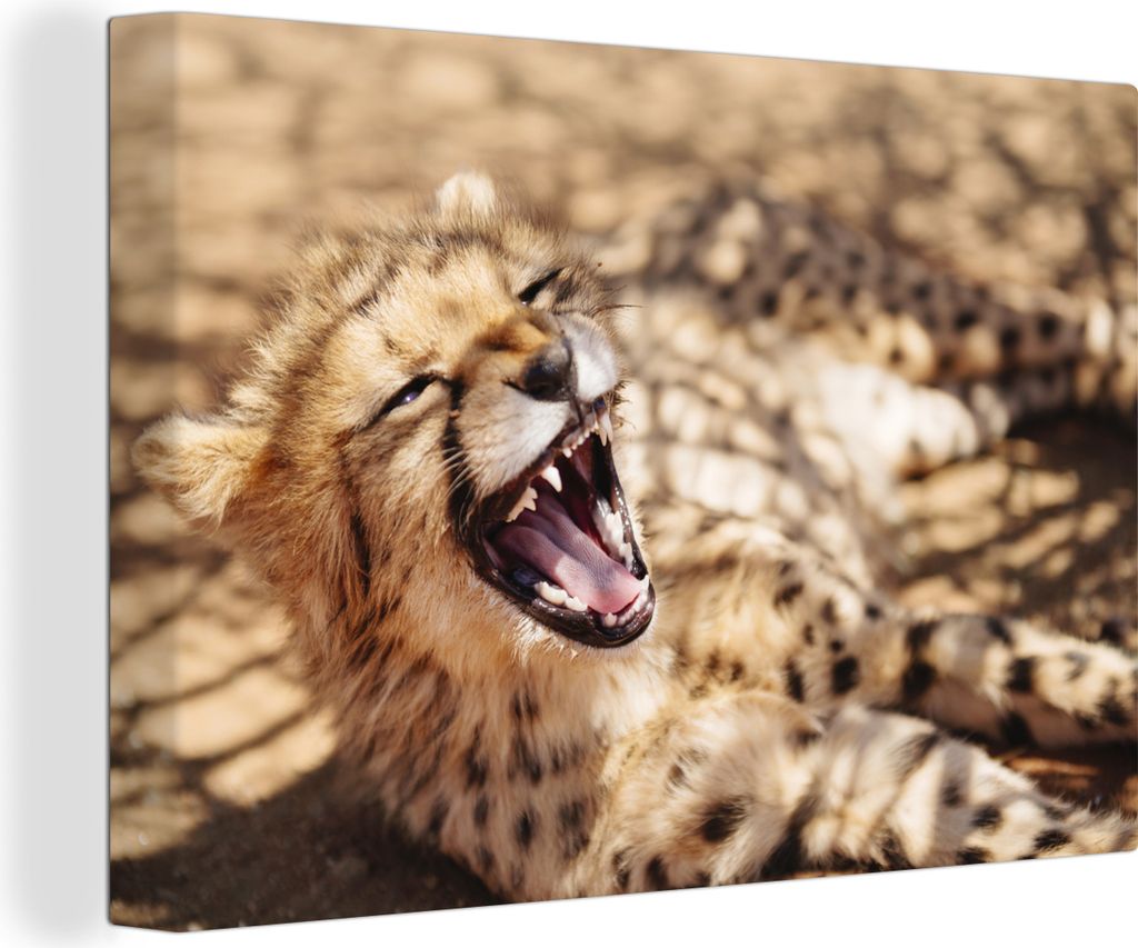 OneMillionCanvasses - Leinwandbilder - 150x100 cm, Gepard - Tier - Nahaufnahme, Wandbilder Kunstdruck Wanddekoration