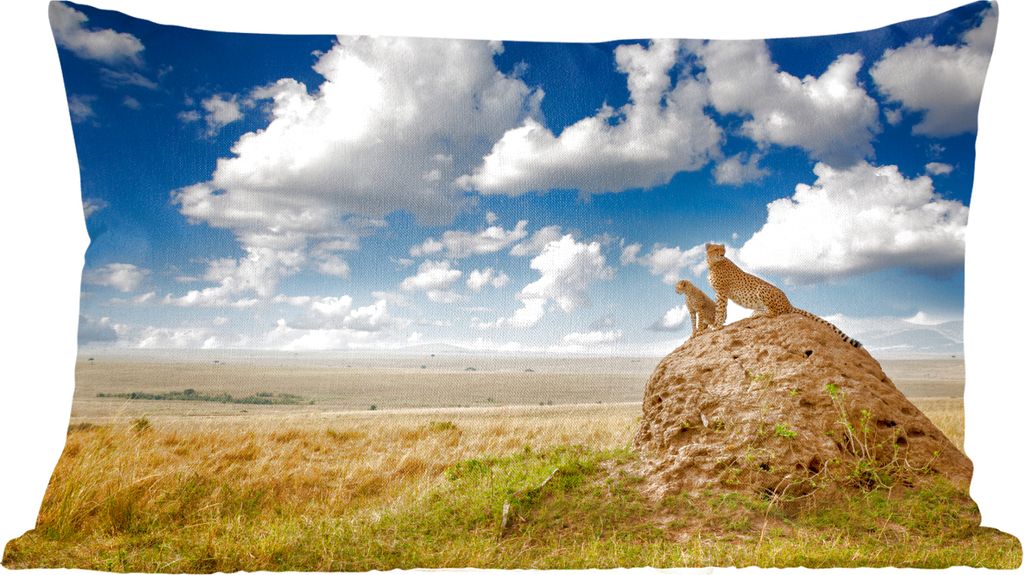 MuchoWow Zierkissen Sofakissen Wohnzimmer Dekokissen 50x30 cm Geparden - Steine - Gras - Wohnzimmerdekoration - Polster mit Photo