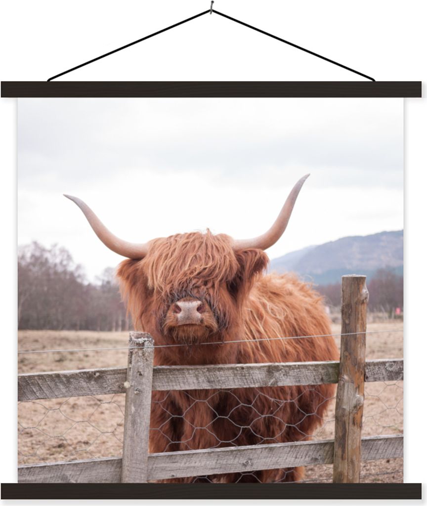MuchoWow Textilposter Scottish Hochlandrind - Gras - Zaun 40x40 cm mit schwarzem Rahmen - Fotos