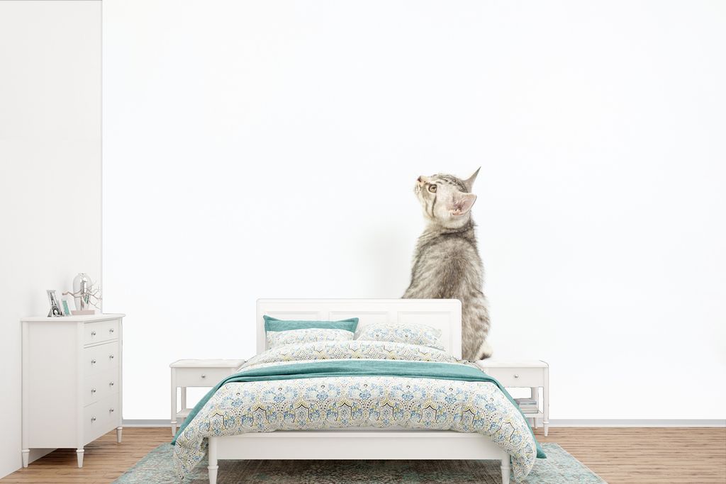 MuchoWow Fototapete für Wohnzimmer oder Schlafzimmer Wandtapete Vinyl Motivtapete Katze - Haustiere - Fell - 420x280 cm - Zimmer für Kinder