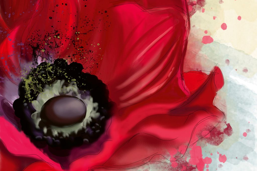 Fototapete - Poppy 375x250cm - Vliestapete