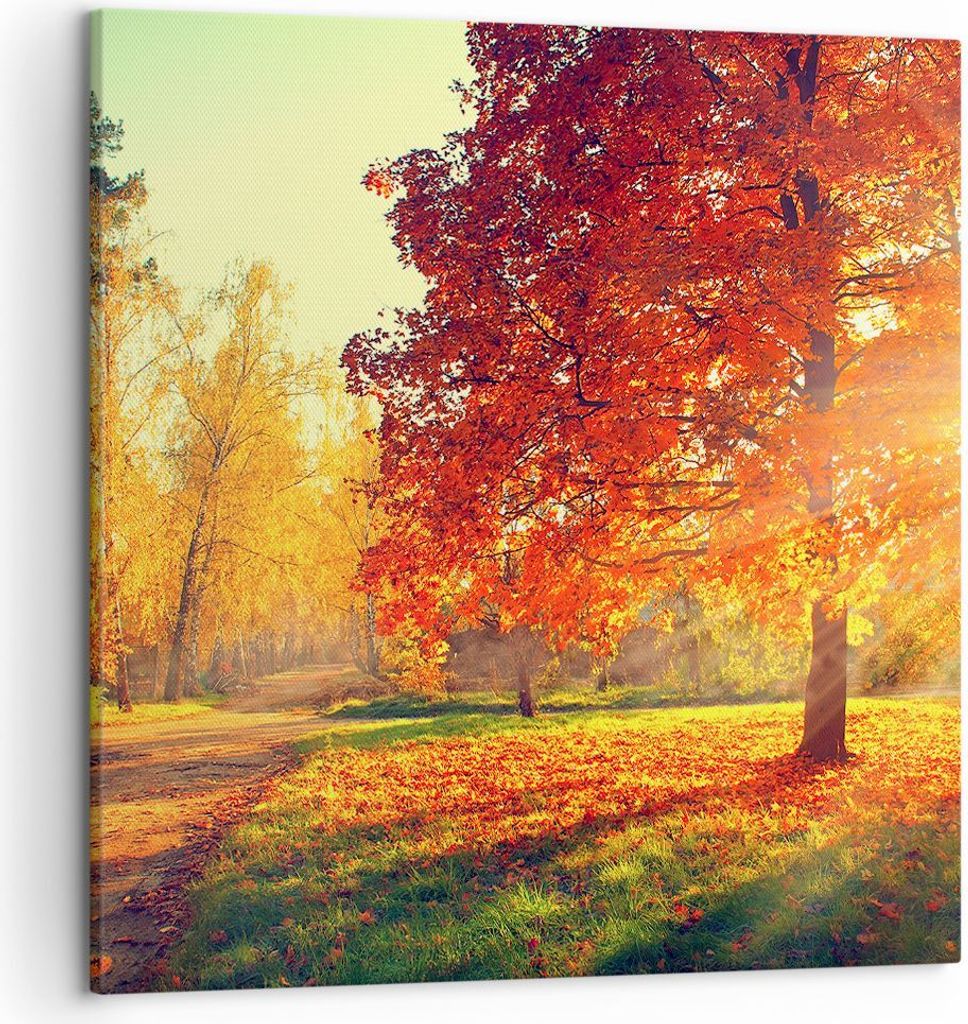 Bild auf Leinwand - Leinwandbild - Park Herbst Baum - 50x50cm - Wand Bild - Wanddeko - Wandbilder - Leinwanddruck - Bilder - Kunstdruck - Wanddekor...