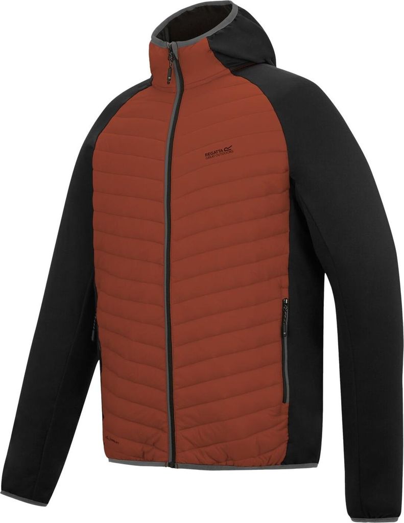 Veste softshell hybride Regatta Andreson pour homme, taille Image du produit 