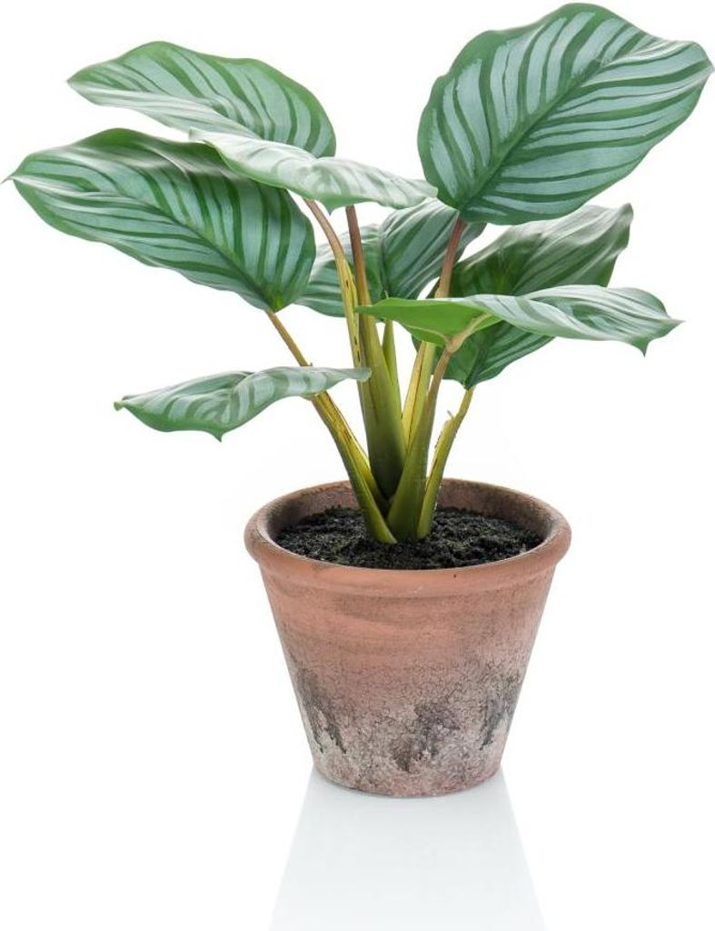 artplants.de Kunst Calathea Orbifolia ESMIE im Terracotta Topf, grün-weiß, 30cm - Grünpflanze künstlich