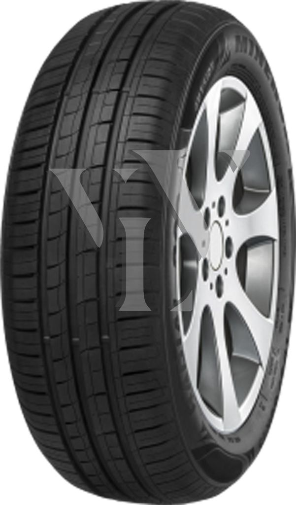Minerva 209 ( 195/70 R14 95T XL )