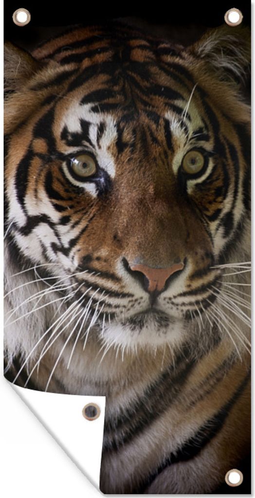 MuchoWow 30x60 cm Outdoor-Poster Gartendeko Sichtschutz Garten Poster für den Garten Tiger - Kopf - Schwarz