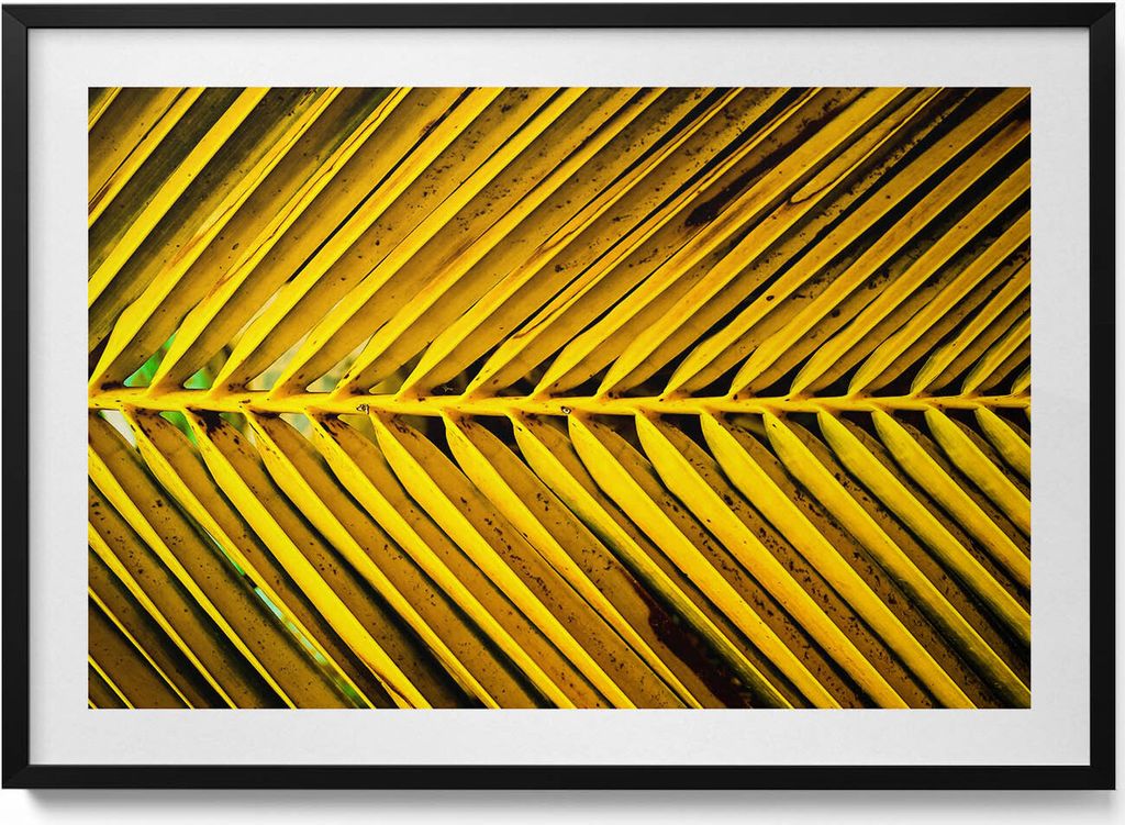 Goldene Blätter einer Pflanze– Wandbild mit Rahmen – Gerahmtes Bild – Wanddekoration – 100x70 cm – Schwarz Rahmen