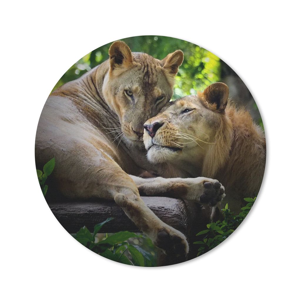MuchoWow Mauspad Mousepad Löwen - Baum - Gras 50x50 cm - Mousepads - Maus Mat - Pad - Mausunterlage - Vinyl