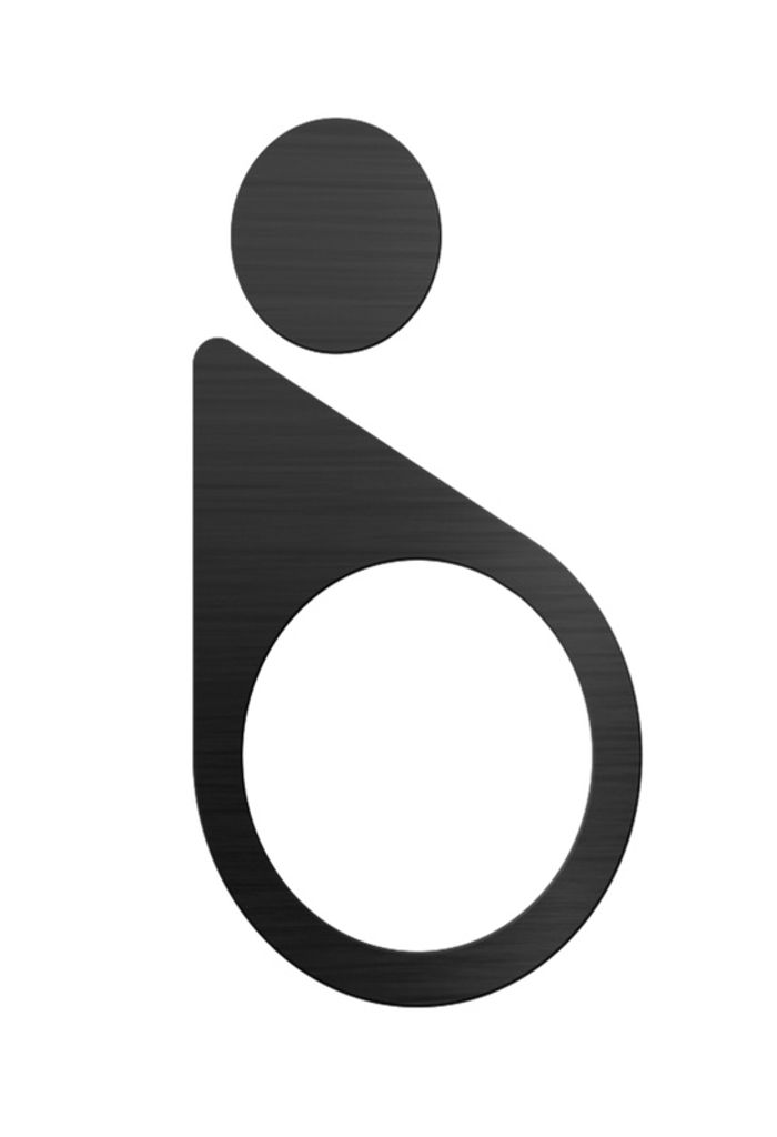 Barrierefreies-WC Piktogramm Edelstahl mit Farbvarianten , Farbe:Anthrazit