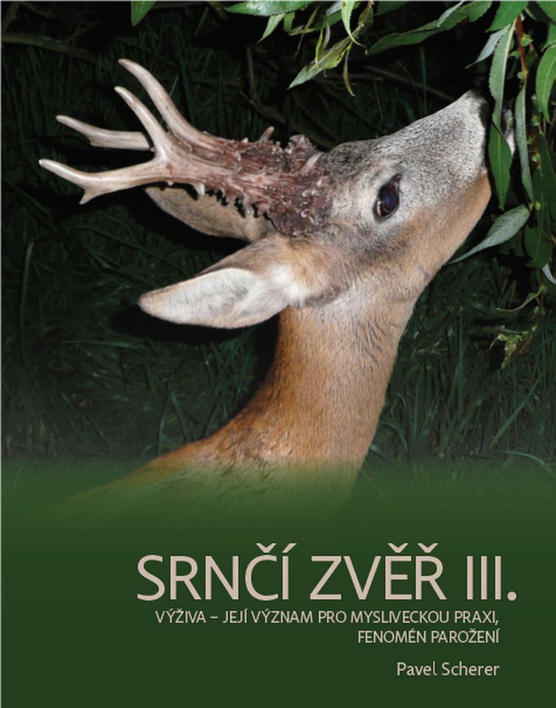 Srnčí zvěř | Pavel Scherer