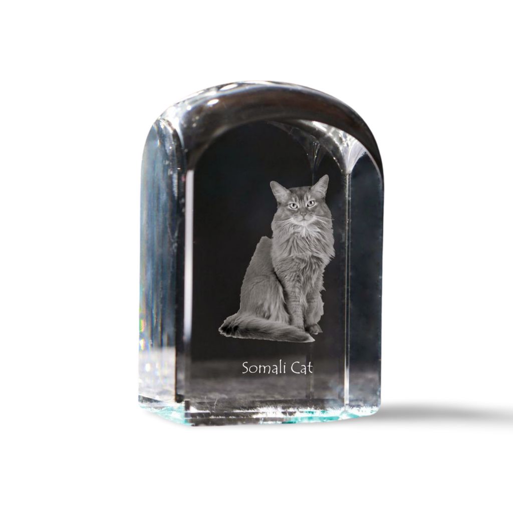 Somali-Katze - Kristallwürfel mit Bild, Katzenbild im Kristall, sechseckiger Papierclip von der Marke Art-Dog