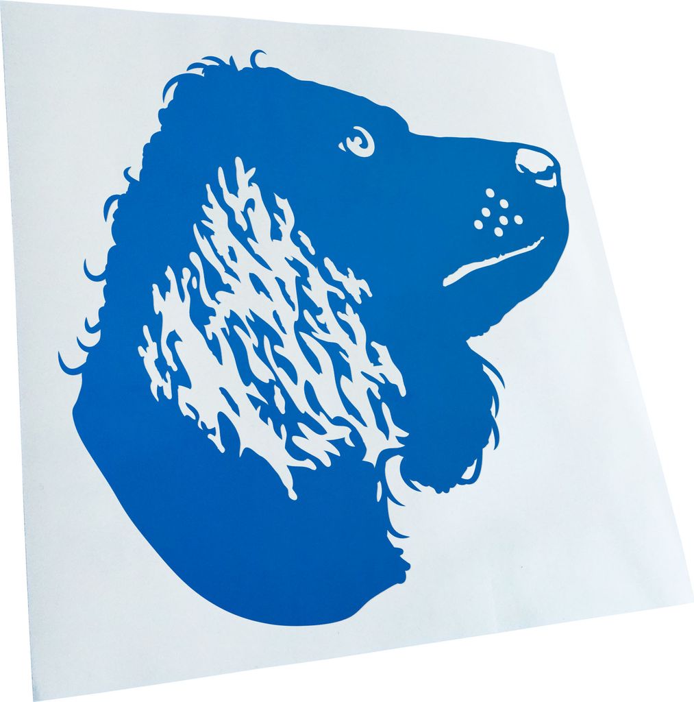 Kiwistar - Autoaufkleber - American Water Spaniel - Blau - 60x60cm - Aufkleber für Auto, Laptop, Fahrrad, LKW, Motorrad mehrfarbig JDM Decal Racing