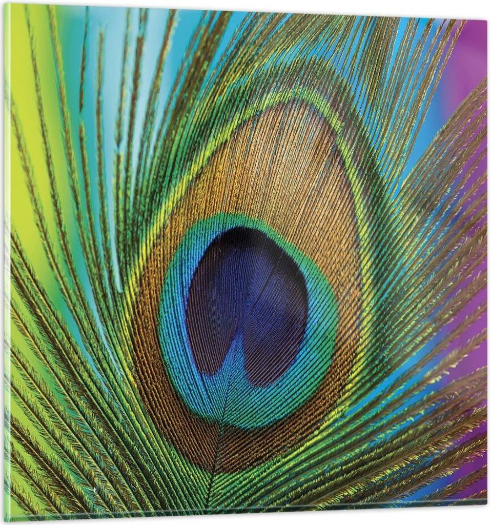 Bilder auf glas - Einteilig - Pfauen Federn Regenbogen - 50x50cm - Glasbilder - Wandbilder - Bilder - zum Aufhängen bereit - Wanddekoration aus Gl...
