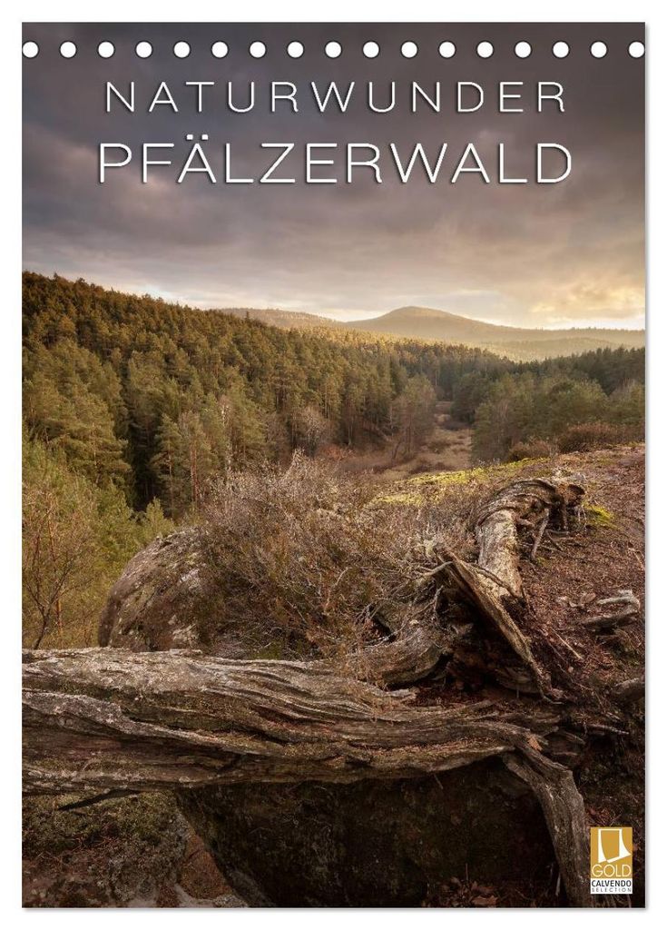 NATURWUNDER PFÄLZERWALD (Tischkalender 2027 DIN A5 hoch), CALVENDO Monatskalender