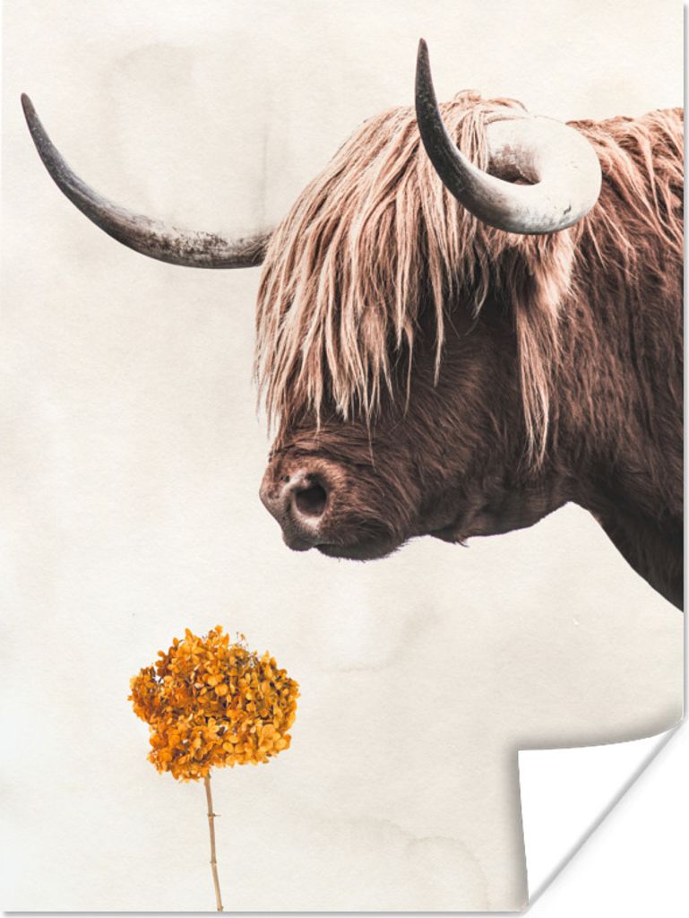 MuchoWow Poster Schottischer Highlander - Blume - Retro 90x120 cm - Wohnzimmer
