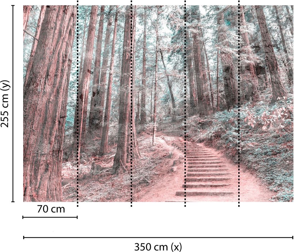 Tadessi Fototapete | Wald | 3.50 m x 2.55 m | Braun | Grün | Wandbild | Digitaldruck