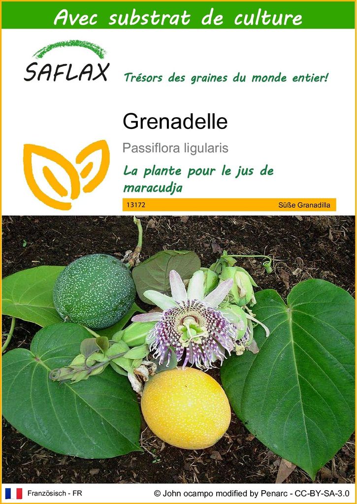 SAFLAX  - Grenadelle - 20 graines - Avec substrat - Image du produit 