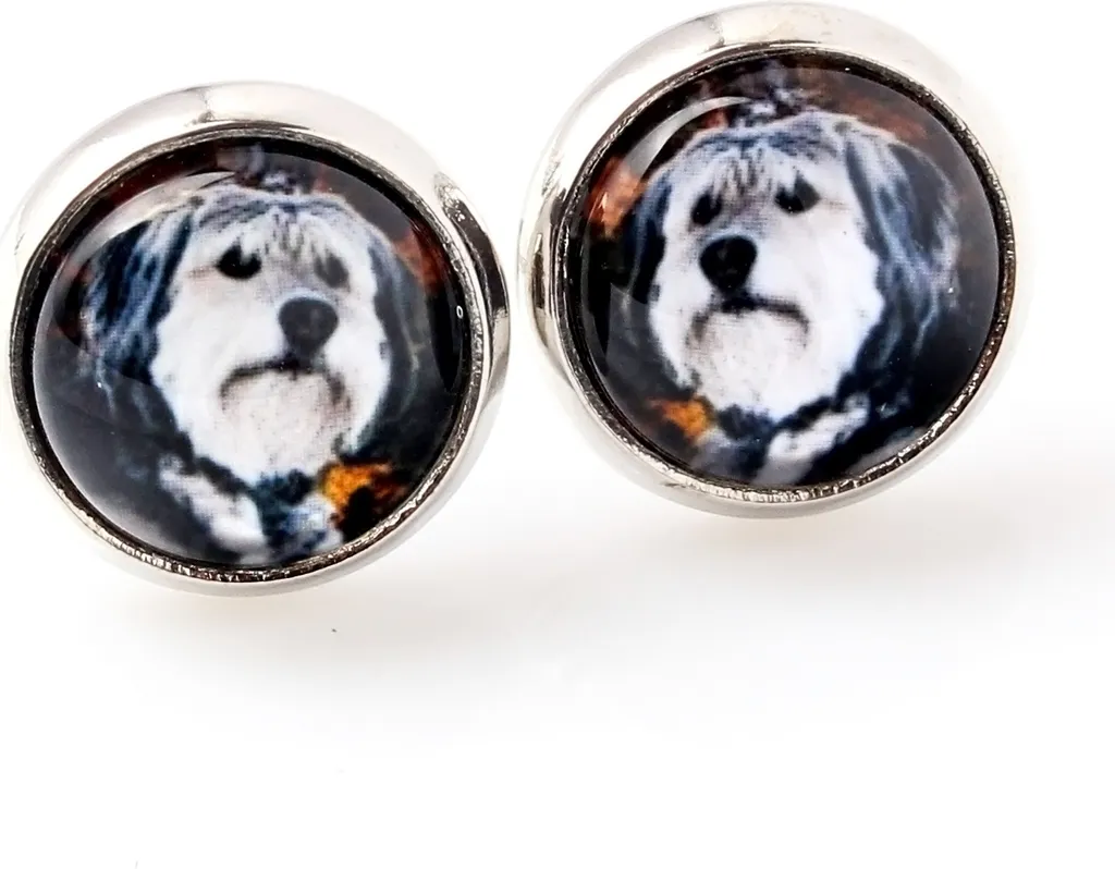 Cane da pastore polacco di pianura, PON - Orecchini in una scatola, la tua foto, gioielli fatti a mano, marchio proprio di Art-Dog.