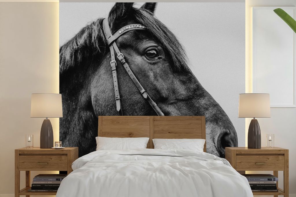 MuchoWow Fototapete für Wohnzimmer oder Schlafzimmer Wandtapete Vinyl Motivtapete Pferd - Halfter - Porträt - 240x240 cm - Schlafzimmer-Tapete