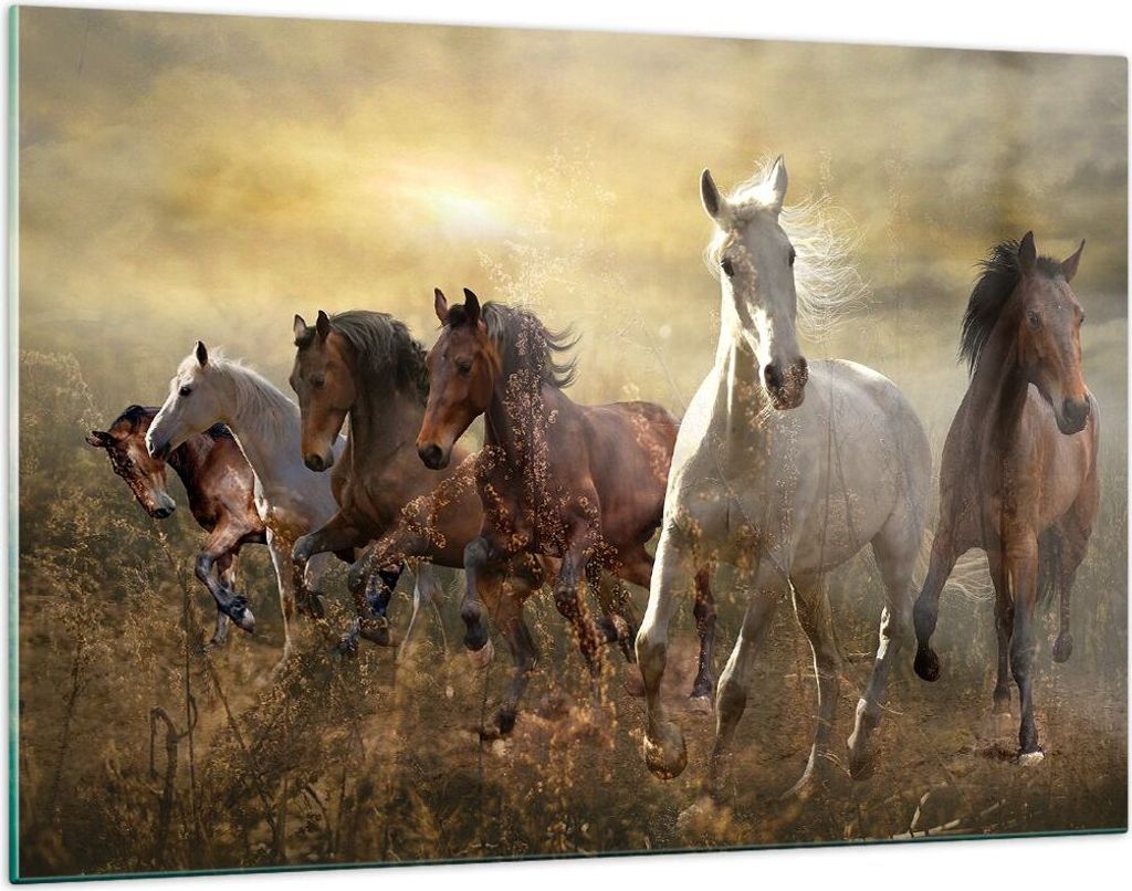 Bilder auf glas - Pferd Tier Natur - 120x80cm - Glasbilder - Wandbilder - Kunstdruck - zum Aufhängen bereit - Wanddekoration aus Glas - Glas Bilde...