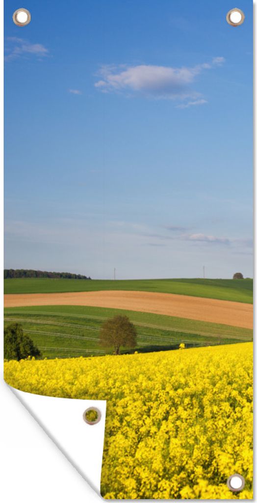 MuchoWow 40x80 cm Outdoor-Poster Gartendeko Sichtschutz Garten Poster für den Garten Frühling - Blumen - Gelb
