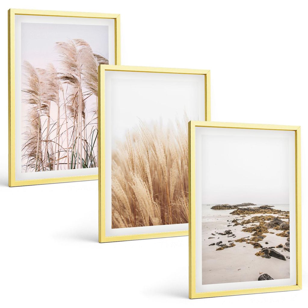 Bilder Set 3-teilig im Goldrahmen Rahmen – Wandbilder 3 Stück – gerahmte Poster für Wohnzimmer, Schlafzimmer und Flur – 40x60 cm – Pampas...