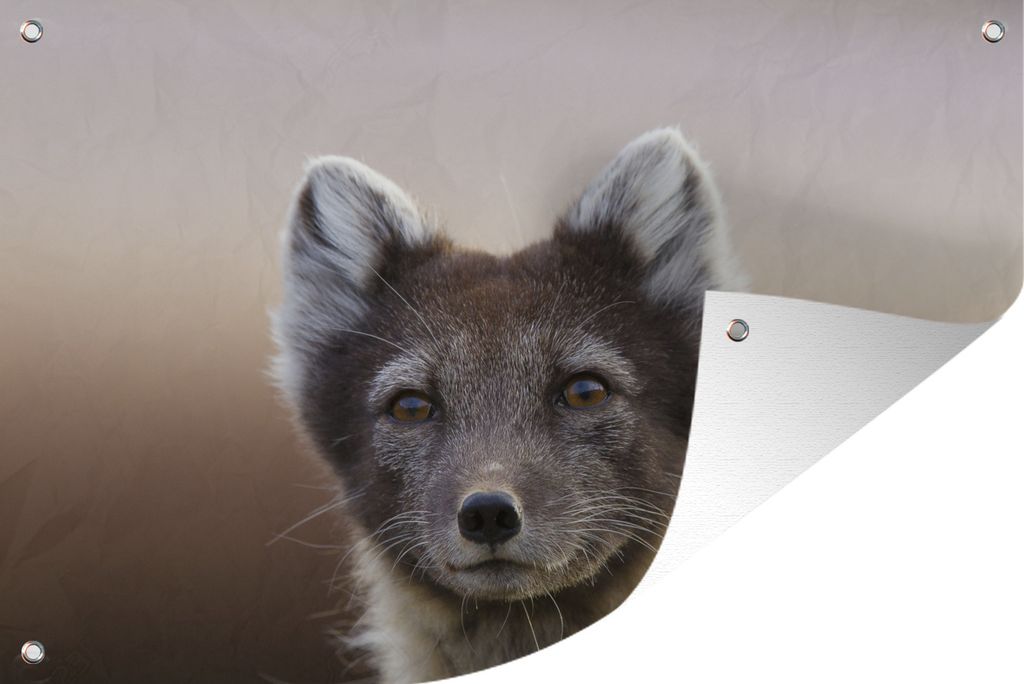 MuchoWow 90x60 cm Outdoor-Poster Gartendeko Sichtschutz Garten Poster für den Garten Fuchs - Porträt - Braun