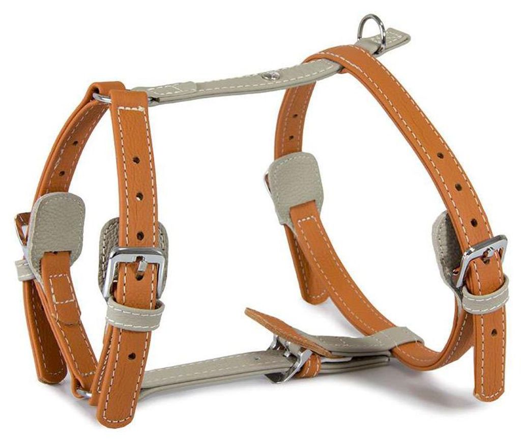Das Lederband Geschirr Amsterdam Orange/Grey, Halsumfang: 35-55 cm