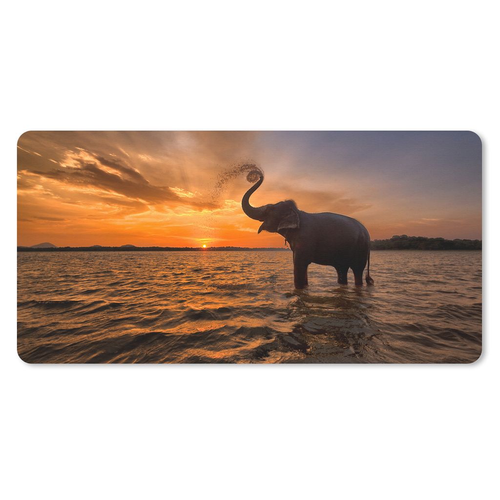 MuchoWow Mauspad Mousepad Elefant - Meer - Tiere - Sonnenuntergang - Orange 60x30 cm - Mousepads - Maus Mat - Pad - Mausunterlage - Nachhaltig