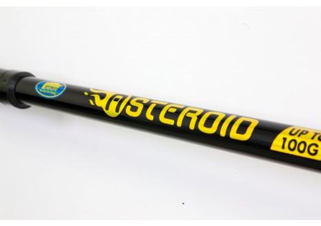 Linea Effe Asteroid 4,20m 100g Teleskoprute Telerute Produktbild 