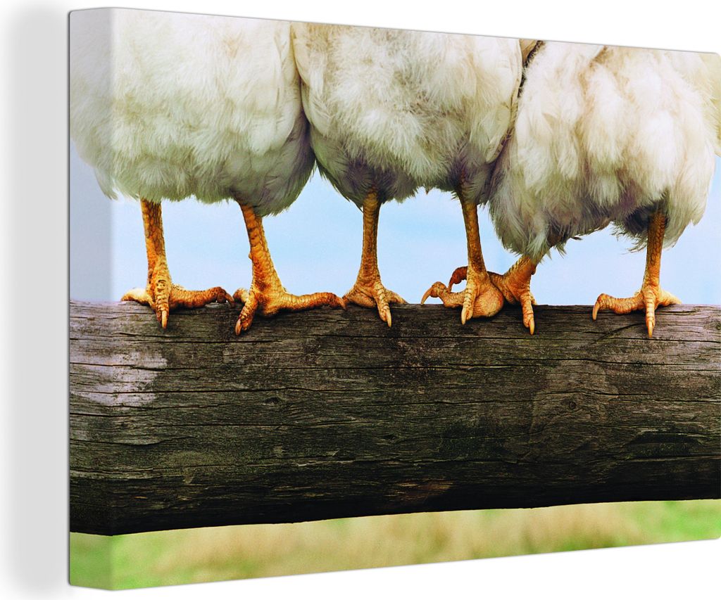 OneMillionCanvasses - Leinwandbilder - 150x100 cm, Foto Hühnerbeine drucken, Wandbilder Kunstdruck Wanddekoration
