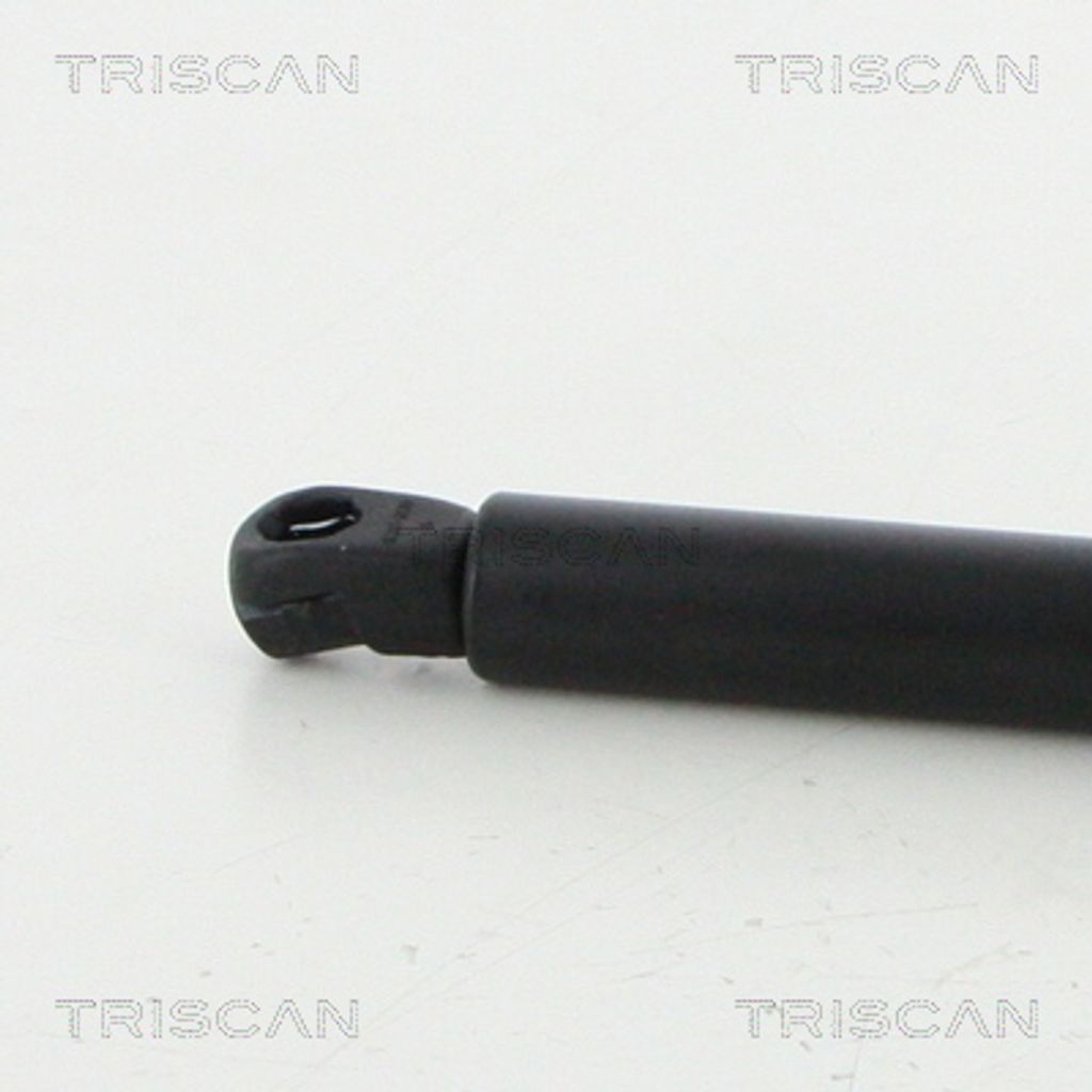 TRISCAN 8710 292047 Motorhauben