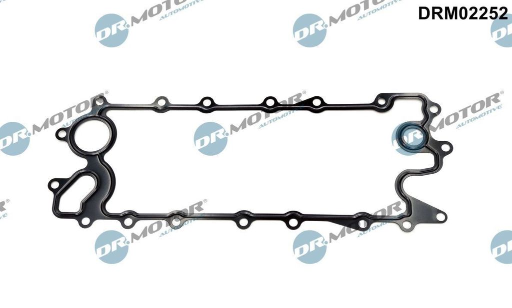 DR.MOTOR AUTOMOTIVE Ölkühler-Dichtung DRM02252 für LAND ROVER Range Rover Sport (L320)