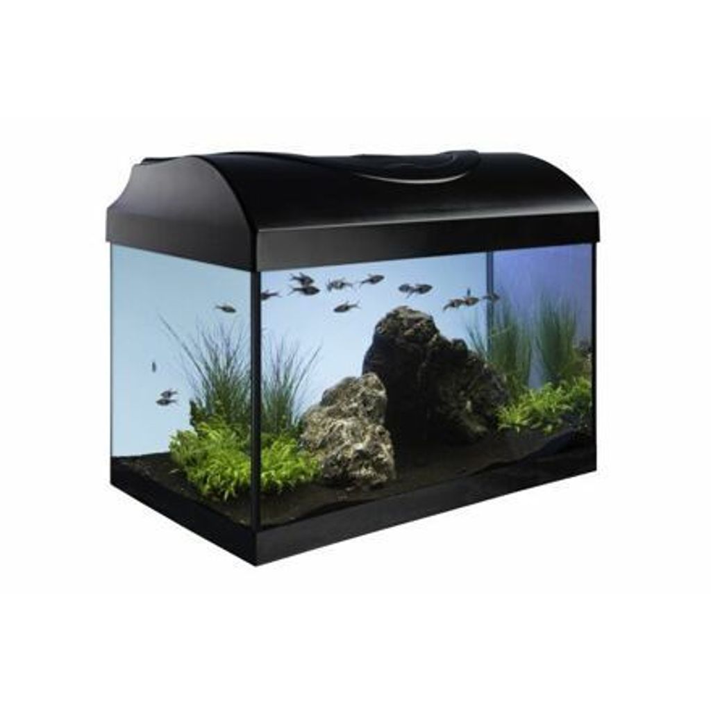 Set completo Nano Aquarium Startup 40 nero 40x25x25cm Immagine del prodotto 