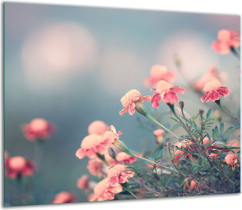 Herdabdeckplatten Ceranfeldabdeckung Spritzschutz Glas 60x52cm Blumen