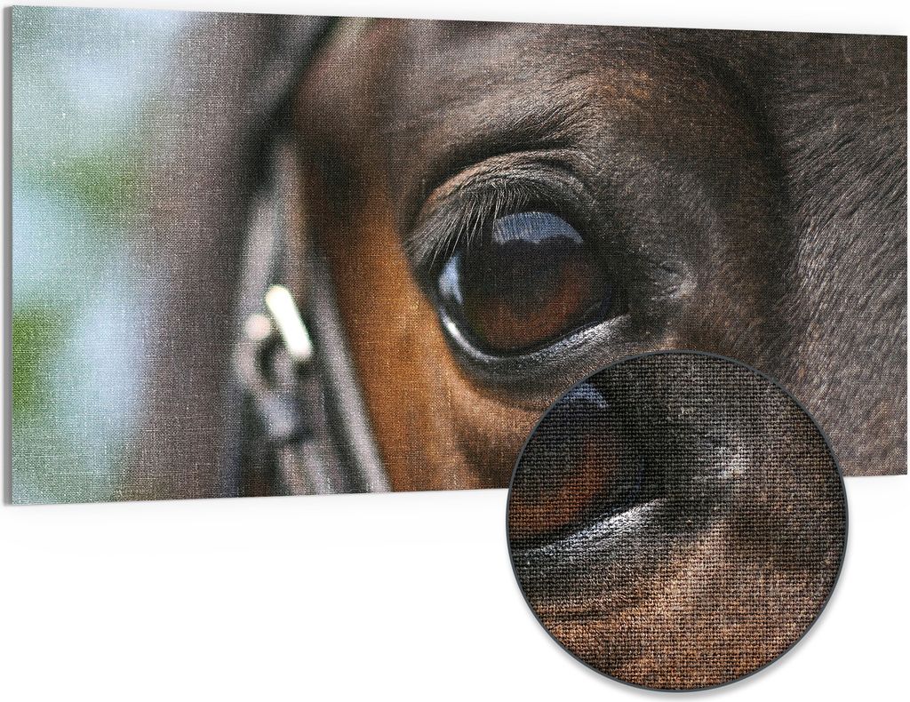 DEQORI Hybrid Leinwand Bild 100x50 cm 'Blick der Produktbild 