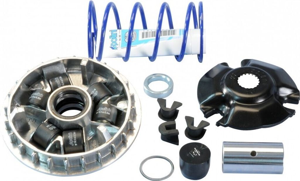 Variator Polini Suzuki Sixteen 125, Burgman 125 bis 2010 Produktbild 