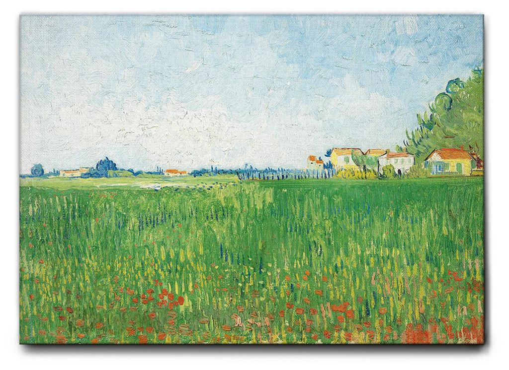 Giallobus - Feld mit Mohnblumen - Vincent Van Gogh - 100L x 70B cm - Bild - Leinwand mit Standardrahmen